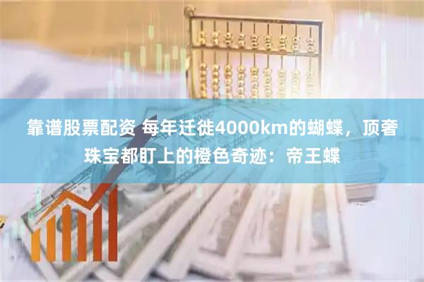 靠谱股票配资 每年迁徙4000km的蝴蝶，顶奢珠宝都盯上的橙色奇迹：帝王蝶